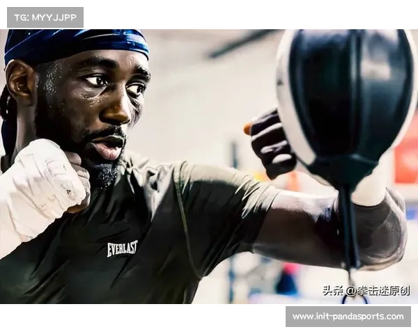 拳击运动满足不同体重爱好者需求